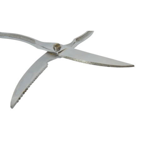 CISEAUX SECATEUR A DECOUPER LA VOLAILLE NOGENT CHROME