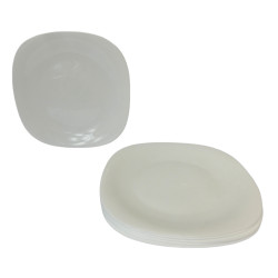 LOT 6 ASSIETTES PLATES...