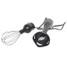 MIXEUR PLONGEANT + FOUET WATSHOME 2 VITESSES