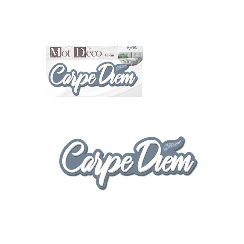 DECORATION MURALE "CARPE DIEM" EN BOIS PEINT