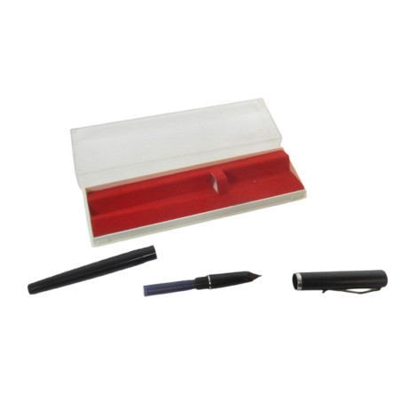 ANCIEN STYLO PLUME VISOR PEN AVEC SA BOITE