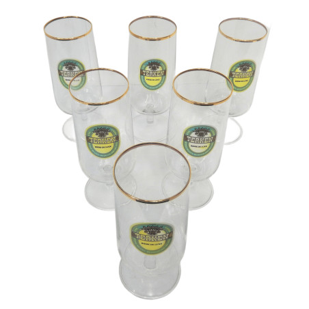 LOT 6 VERRES A BIERE TERKEN