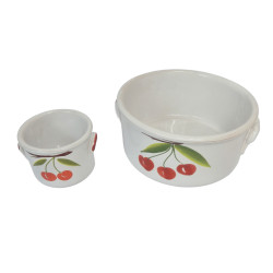LOT 2 PLATS DECOR CERISES Ø...