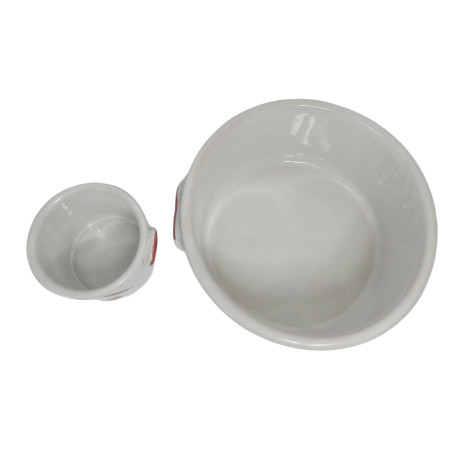 LOT 2 PLATS DECOR CERISES Ø 22 CM ET 10,2 CM